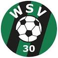 Logo WSV30